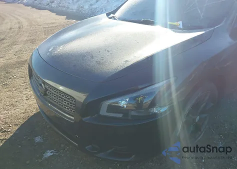 2010 Nissan Maxima 3.5 Sv z USA, uszkodzony, nr VIN 1N4AA5AP3AC850964